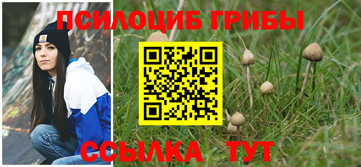 Псилоцибиновые грибы Magic Shrooms Маркс