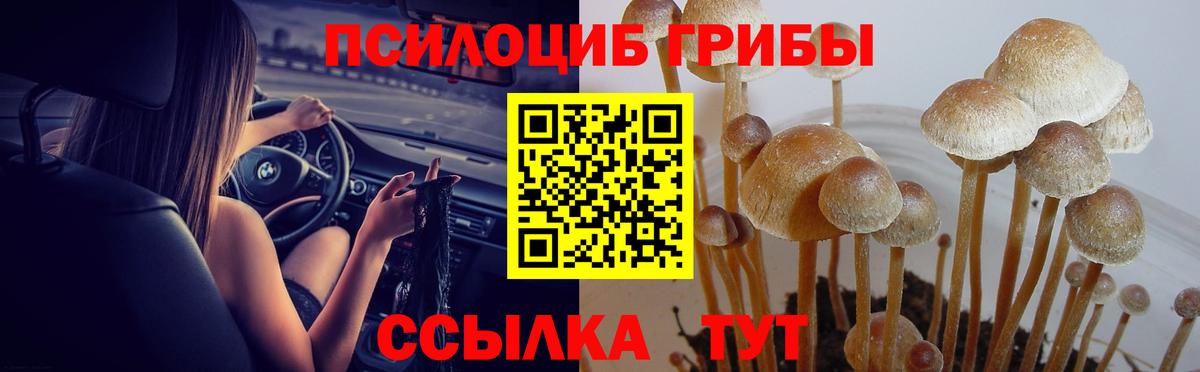 наркотики  Вход с VPN  Маркс  Галлюциногенные грибы ЛСД 